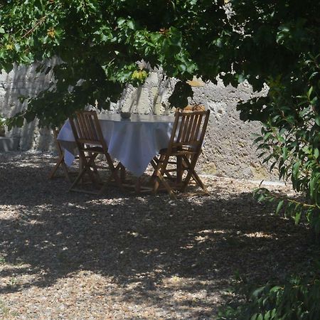 Gite Dans Le Vignoble De Bourgueil Le Port Boulet Eksteriør billede
