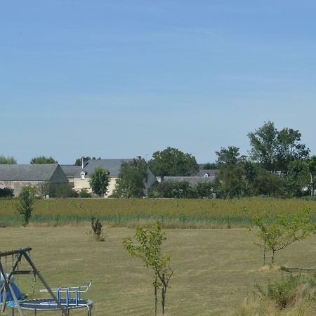 Gite Dans Le Vignoble De Bourgueil Le Port Boulet Eksteriør billede