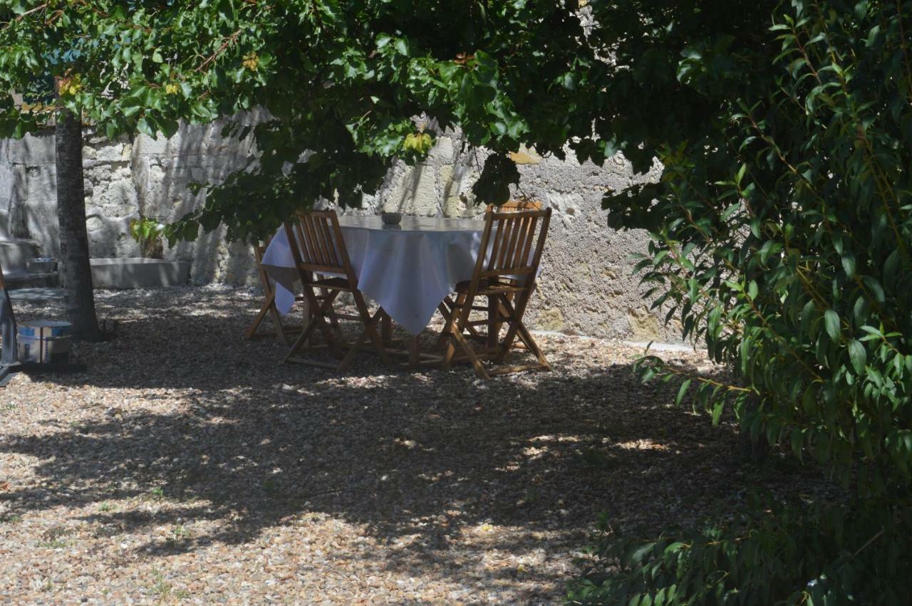 Gite Dans Le Vignoble De Bourgueil Le Port Boulet Eksteriør billede