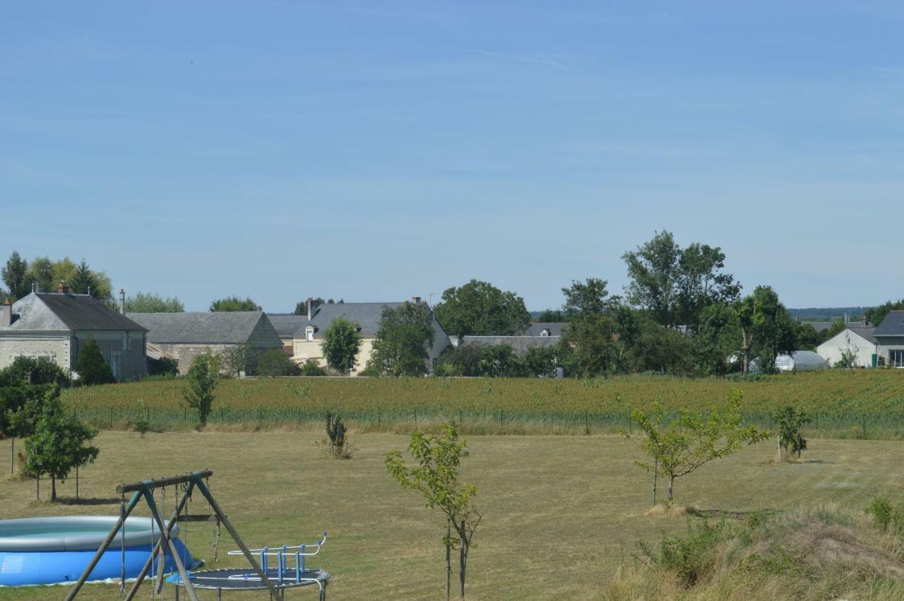 Gite Dans Le Vignoble De Bourgueil Le Port Boulet Eksteriør billede