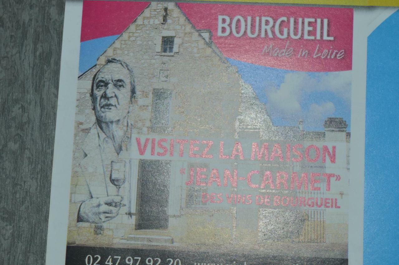 Gite Dans Le Vignoble De Bourgueil Le Port Boulet Eksteriør billede