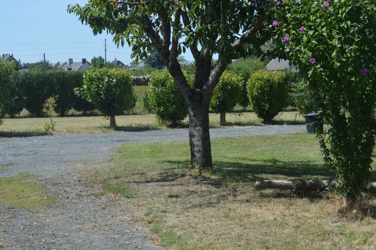 Gite Dans Le Vignoble De Bourgueil Le Port Boulet Eksteriør billede